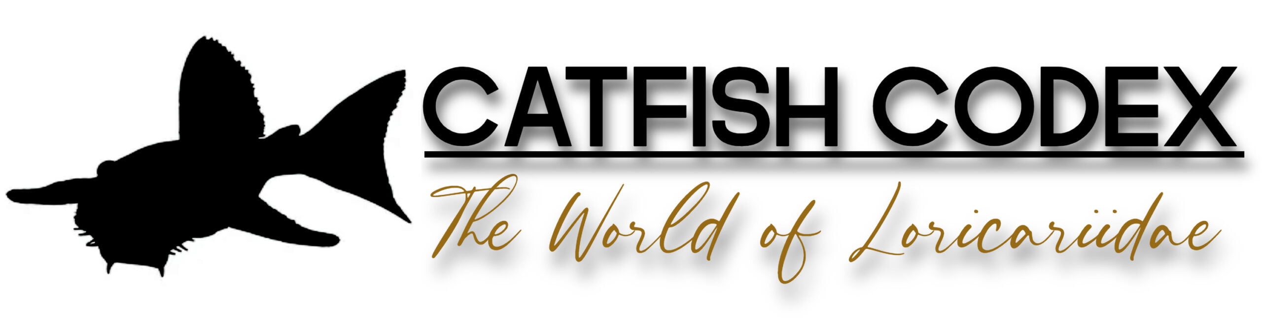 Catfish Codex