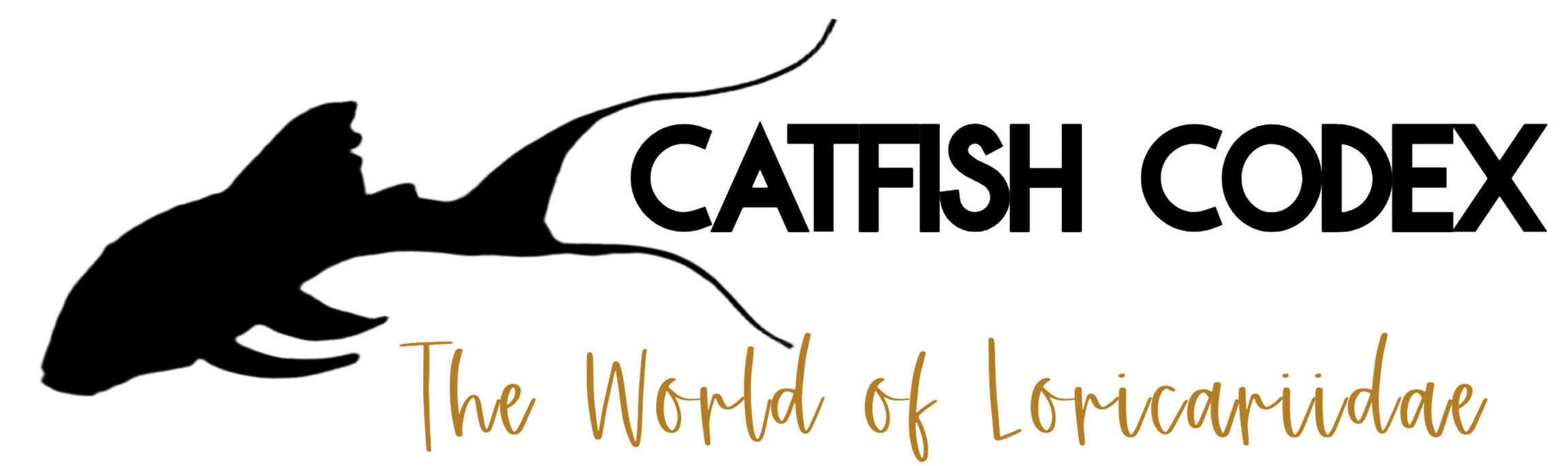 Catfish Codex